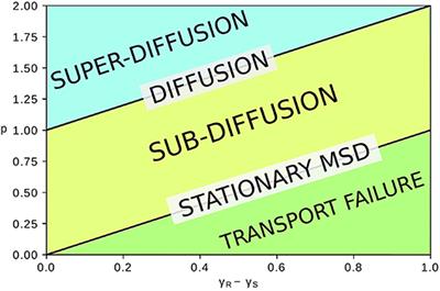 Anomalous Diffusion in Random-Walks With Memory-Induced Relocations